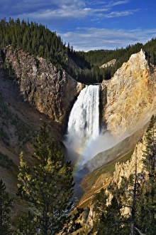 Lower Yellowstone Falls Drucke: Rainbow on Lower Yellowstone Falls, Yellowstone National Park, Wyoming / Montana