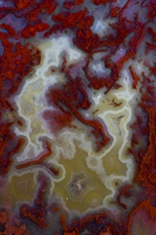 Macro Mineral Photography Drucke: Red Moss Agate Slab
