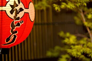 Honshu Island Scenery Drucke: Red painted paper lantern and tree, Kyoto, Honshu island, Japan