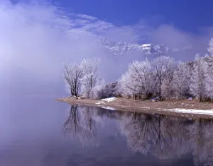 Mountain Peaks Above Clouds Drucke: Rimed trees and reflection, Mt. Timpanogas above the clouds, Utah