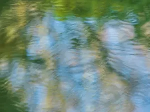 Serene Nature Photography Drucke: Rippled reflection in pond