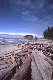 Olympic National Park Drucke: Ruby Beach Driftwood and Sea Stacks, Olympic National Park; Washington; US