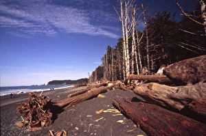 Nature Photography US Drucke: Ruby Beach, Olympic National Park, Washington, US