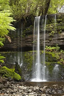 Tranquil Australian Landscapes Drucke: Russell Falls