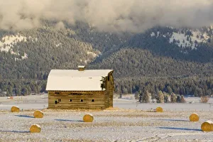 Rural Snowy Landscape Drucke: Rustic barn