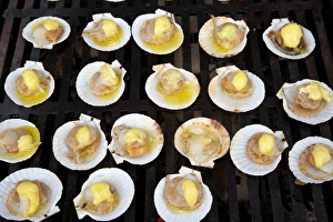 Summer Dinner Ideas Drucke: Scallops on Barbeque