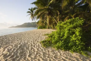 Mahe Island Tourism Drucke: Seychelles, Mahe