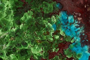 Natural Patterns In Nature Drucke: Shattuckite