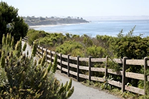 Blue Sky Scenic Views Drucke: Shell Beach / The Bluffs