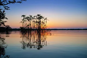 Amazon Rainforest Drucke: Situated right on the equator in the Amazon rainforest
