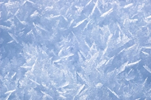 North America Winter Landscapes Drucke: Snow