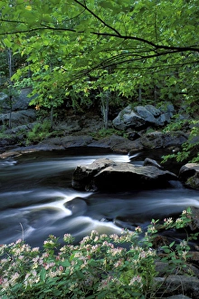 North America Forest Landscapes Drucke: Spring at Packers Falls on the Lamprey River. A National Wild and Scenic River
