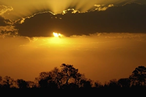 Okavango Delta Sunset Drucke: Sunset over the Delta. Okavango Delta. BOTSWANA. Southern Africa