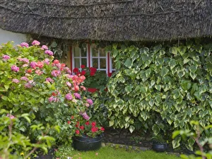 Irish Rural Landscapes Drucke: Thatched cottage