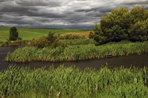 Palouse Landscape Drucke: Threatening Clouds and Storm, Paloause, Whitman County, Washington, USA