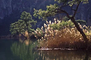 Turkish Nature Photography Drucke: Turkey, Dalyan