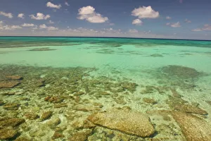 Tropical Island Getaway Drucke: Turks and Caicos