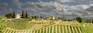 Cloudy Rural Scene Drucke: Tuscan landscape under thunder clouds. Farmhouse with vineyard. Tuscany, Italy