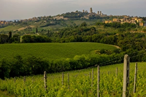 Charakteristisches Hügelland mit sanften Rollhügeln, Blick auf die skyline von San Gimignano in der Toskana, Italien