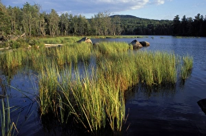 Umbagog See, Röhren, Nordwald, Sich fließt der Rapid River in den Umbagog See