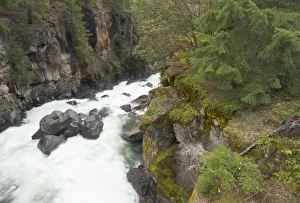 Der oberste Fluss des Roges fließt durch eine Schlucht in Oregon