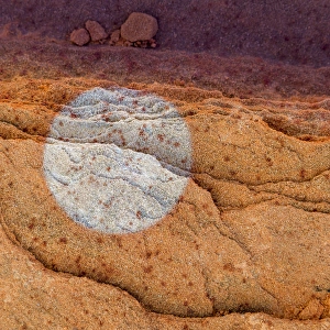 Utah Sandstone Patterns Drucke: USA, Utah. Circular bleaching pattern in sandstone