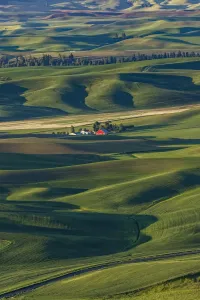 Eastern Washington Landscape Drucke: Single distant red barn among rolling fields of wheat, Palouse region of eastern