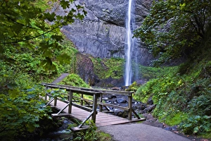 Latourell Falls Oregon Drucke: A view of Latourell Falls