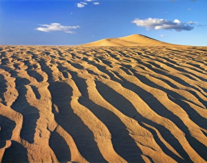 Red Sand Desert Landscape Drucke: View of sand in desert