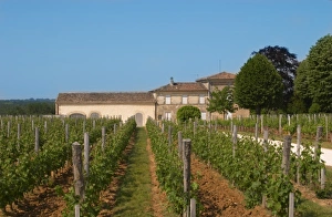 European Wine Production Drucke: A view over the vineyard, building and winery, Chateau Valandraud Saint Emilion Bordeaux