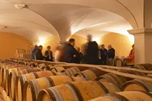 European Wine Production Drucke: Visitors blurred in the barrel aging cellars with vaulted ceiling. Domaine Gilles Robin