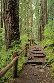 Olympic National Park Images Drucke: WA, Olympic NP