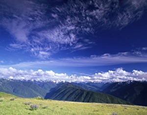 Washington State National Parks Drucke: WA, Olympic NP, Olympic Mountain Range, view from Hurricane Ridge