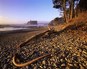Olympic Peninsula Nature Drucke: WA, Olympic NP, Ruby Beach