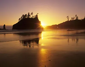 Beach Sunset Photography Drucke: WA, Olympic NP, Second Beach at sunset