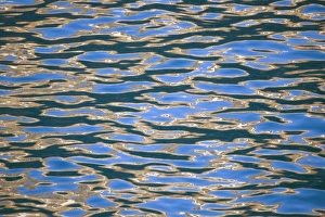 Drucke von Wasser wellt mit Sonnenreflexion, Südgeorgien, Antarktika Bilder Datiert 2009 September: Wasser wellt mit Sonnenreflexion in Südgeorgien Antarktika