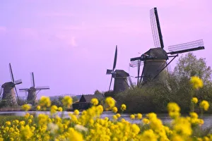 Kinderdijk UNESCO Site Drucke: Windmills along