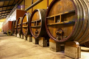 Vaucluse France Drucke: The wine cellar