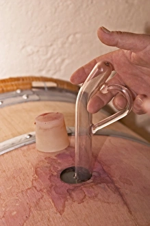 Drucke von Ein Weinschöpfrohr nimmt ein Probe aus einem Barrique mit Silikonstopfen und einer Hand mit Daumen: Château La Grave Figeac in der Stadt Saint-Émilion im Weinbaugebiet von Bordeaux Bilder Datiert 2007 Mai: Ein Weinschöpfrohr nimmt ein Proben aus einem Fass, Silikonstopfenpluggen Hand mit