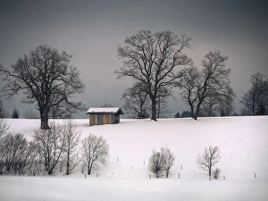 Winter Landscapes In Germany Drucke: Winter scene, hill and trees, hut and forboding sky
