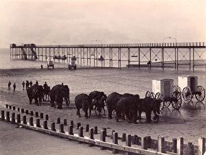 Sangers Zirkus in Bognor Regis um 1890