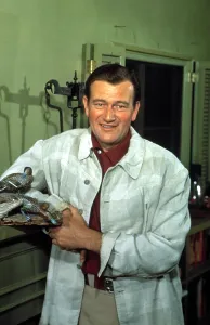 Old Hollywood Actor Portraits Drucke: John Wayne