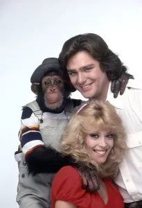 Classic TV Comedies Drucke: B.J. & THE BEAR, clockwise: Sam the Chimp, Greg Evigan, Judy Landers, (1981), 1978-1981