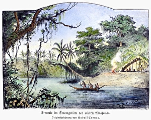 Brazilian Rainforest Scene Drucke: AMAZON JUNGLE, 1892. A scene on the upper Amazon. Drawing, German, 1892