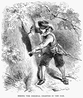 Drucke von Die Charta des Oak , 1687 Connecticut Drucke: Der Chartauchelbstbaum von The Charter Oak im Jahr 1687