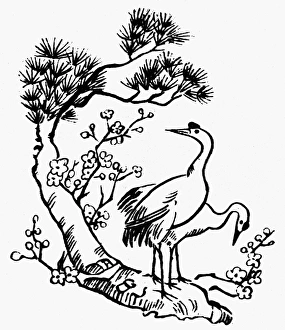Ancient Chinese Art Drucke: CRANES AND PINE TREE. Chinese symbol of longevity. Line engraving