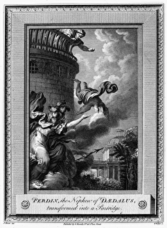 Daedalus und Perdix. Nachdem Daedalus seinen Nephew Perdix vom Tempel der Athene auf dem Akropolis warf, verwandelt Athena Perdix in einen Hasen Kupferstich aus England des 18. Jahrhunderts nach Charles Eisen