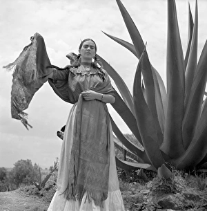 Drucke von Frida Kahlo (1907-1954). Mexikanische Künstlerin. Fotografiert von Toni Frissell, 1937 F Drucke: Frida Kahlo (1907-1954). Mexikanische Künstlerin. Fotografiert von Toni Frissell, 1937