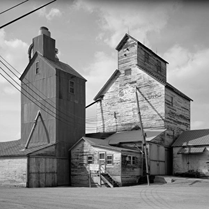 Körnerhäfen, 1990. Körnerhäfer in Chokio, Minnesota. Fotografie aus dem Jahr 1990