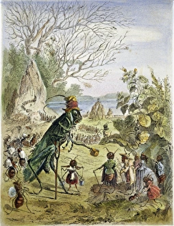 Drucke von Grashopfer und Ameise. Die Grashopfe und die Ameisen im 19 Jahrhundert als Holzschnitt für die Märchen von Esopus Äsop Drucke: Grashopfer und Ameise. Die Grashopfer und die Ameise im 19